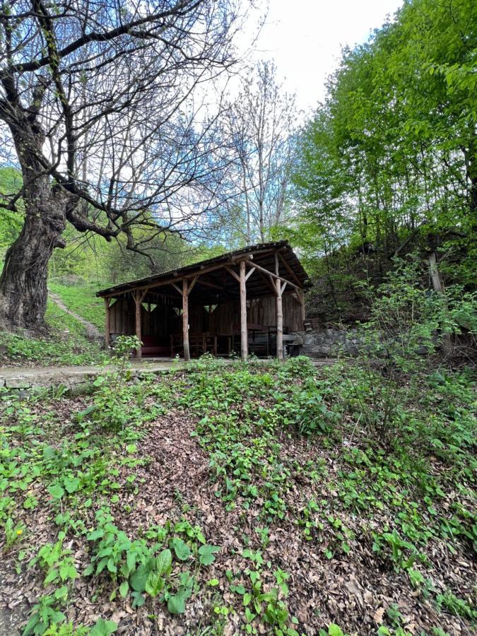 Holiday Home Golovino Dilijan Exterior foto